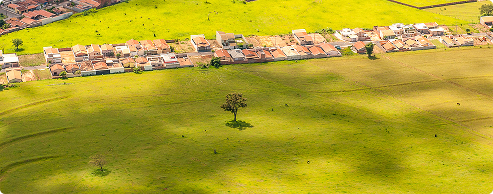 imagens da vida no Jardim Santo Antônio